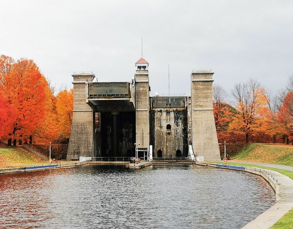 Gingeranne Wide Square Buyers